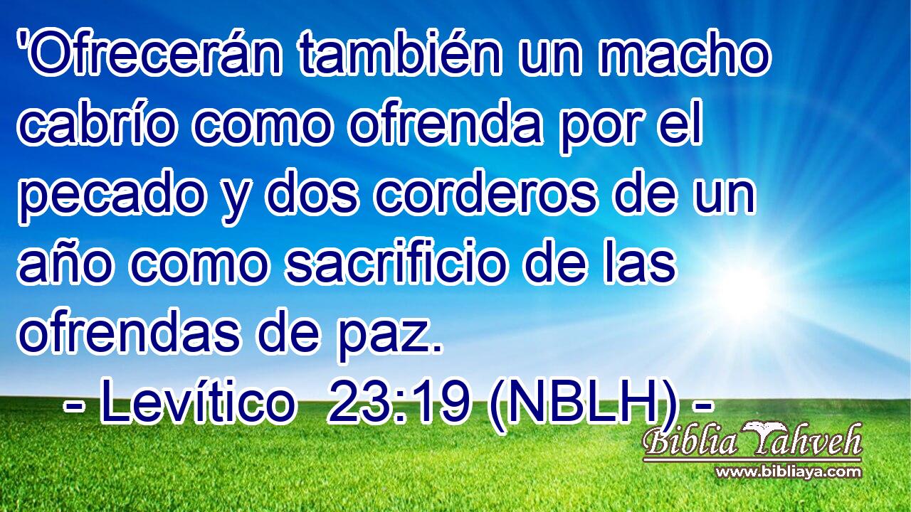  'Ofrecerán también un macho cabrío como ofrenda por el pecado y dos corderos de un año como sacrificio de las ofrendas de paz. 