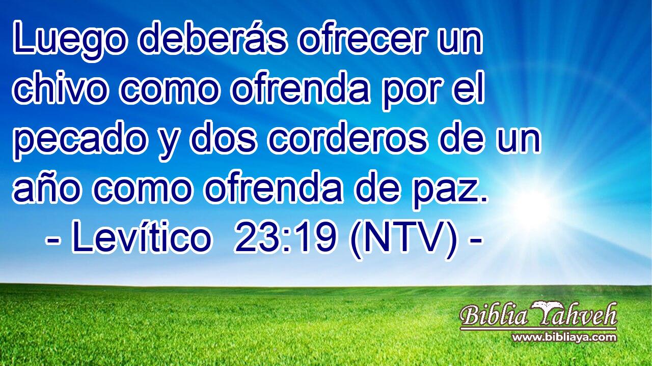 Luego deberás ofrecer un chivo como ofrenda por el pecado y dos corderos de un año como ofrenda de paz.