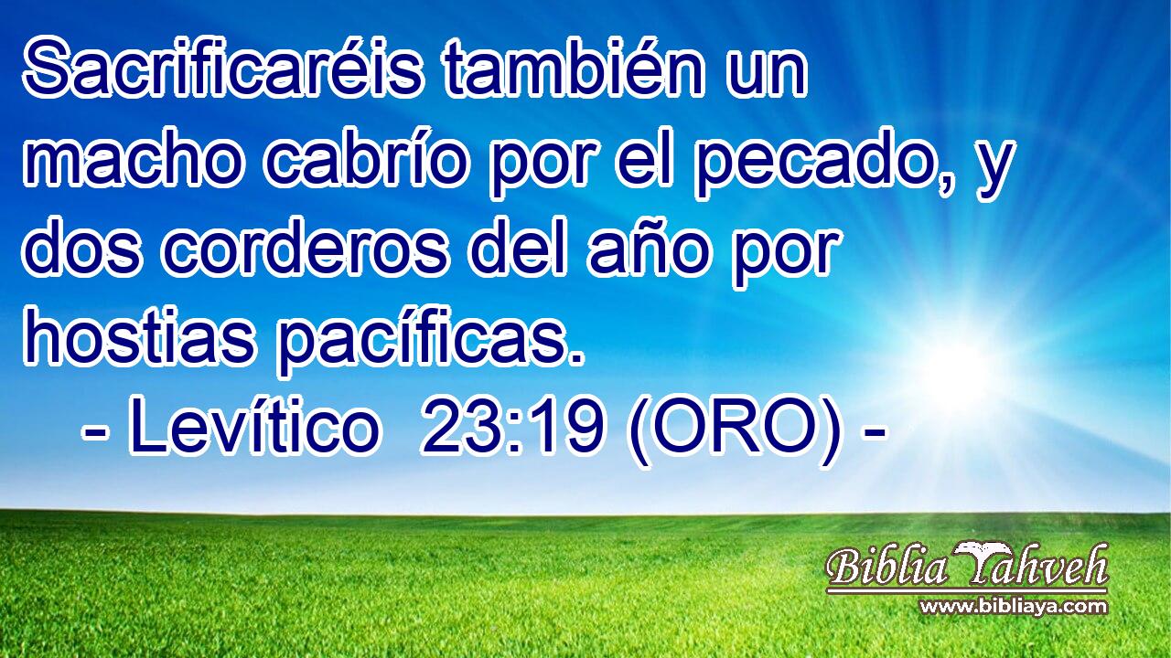  Sacrificaréis también un macho cabrío por el pecado, y dos corderos del año por hostias pacíficas. 