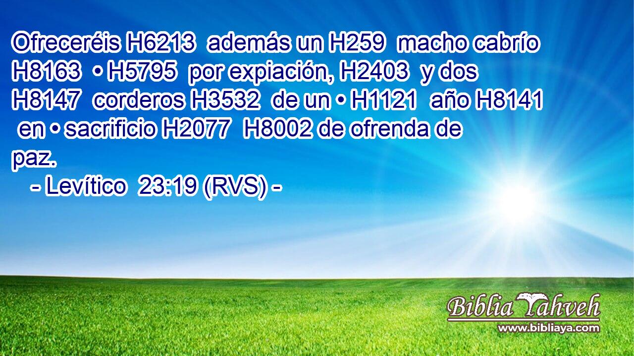 Ofreceréis H6213  además un H259  macho cabrío H8163  • H5795  por expiación, H2403  y dos H8147  corderos H3532  de un • H1121  año H8141  en • sacrificio H2077  H8002 de ofrenda de paz. 