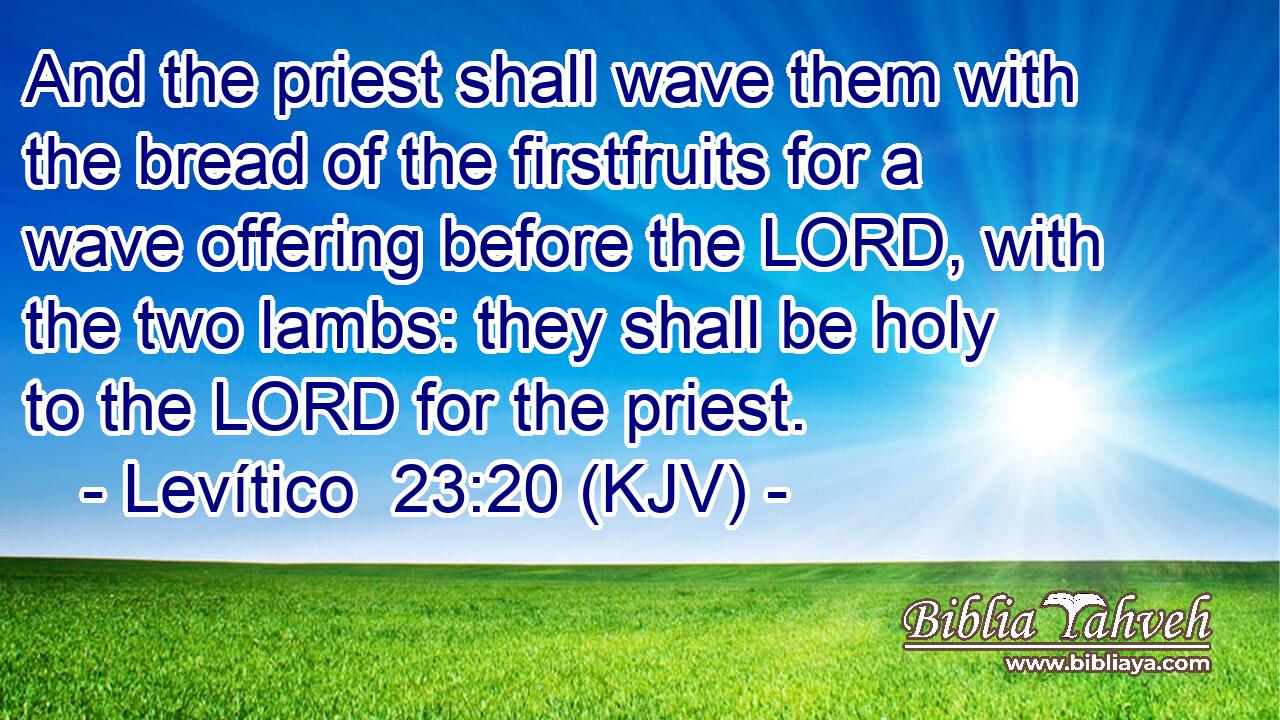 And the priest shall wave them with the bread of the firstfruits for a wave offering before the LORD, with the two lambs: they shall be holy to the LORD for the priest.
