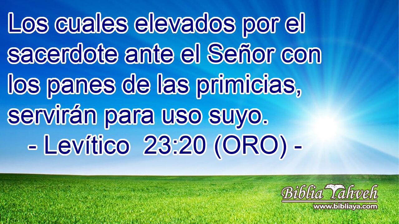  Los cuales elevados por el sacerdote ante el Señor con los panes de las primicias, servirán para uso suyo. 