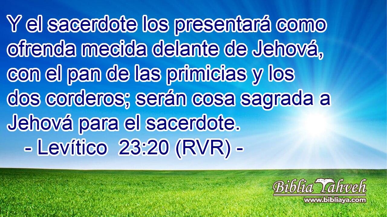 Y el sacerdote los presentará como ofrenda mecida delante de Jehová, con el pan de las primicias y los dos corderos; serán cosa sagrada a Jehová para el sacerdote.