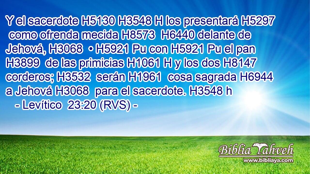 Y el sacerdote H5130 H3548 H los presentará H5297  como ofrenda mecida H8573  H6440 delante de Jehová, H3068  • H5921 Pu con H5921 Pu el pan H3899  de las primicias H1061 H y los dos H8147  corderos; H3532  serán H1961  cosa sagrada H6944  a Jehová H3068  para el sacerdote. H3548 h 