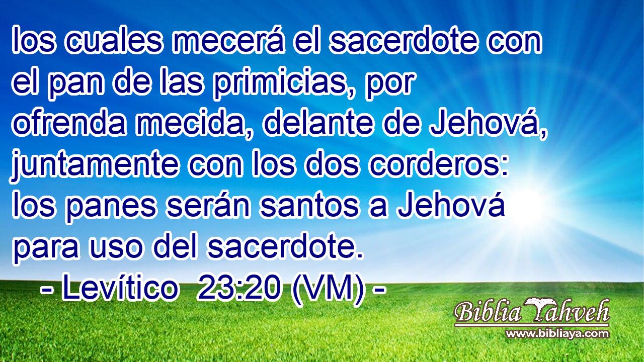  los cuales mecerá el sacerdote con el pan de las primicias, por ofrenda mecida, delante de Jehová, juntamente con los dos corderos: los panes serán santos a Jehová para uso del sacerdote. 