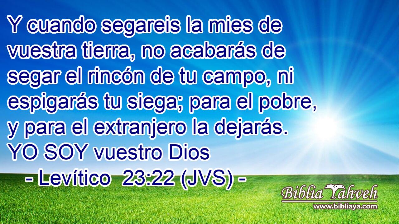 Y cuando segareis la mies de vuestra tierra, no acabarás de segar el rincón de tu campo, ni espigarás tu siega; para el pobre, y para el extranjero la dejarás. YO SOY vuestro Dios