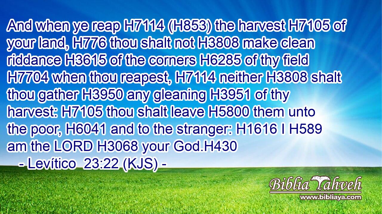 And when ye reap H7114 (H853) the harvest H7105 of your land, H776 thou shalt not H3808 make clean riddance H3615 of the corners H6285 of thy field H7704 when thou reapest, H7114 neither H3808 shalt thou gather H3950 any gleaning H3951 of thy harvest: H7105 thou shalt leave H5800 them unto the poor, H6041 and to the stranger: H1616 I H589 am the LORD H3068 your God.H430