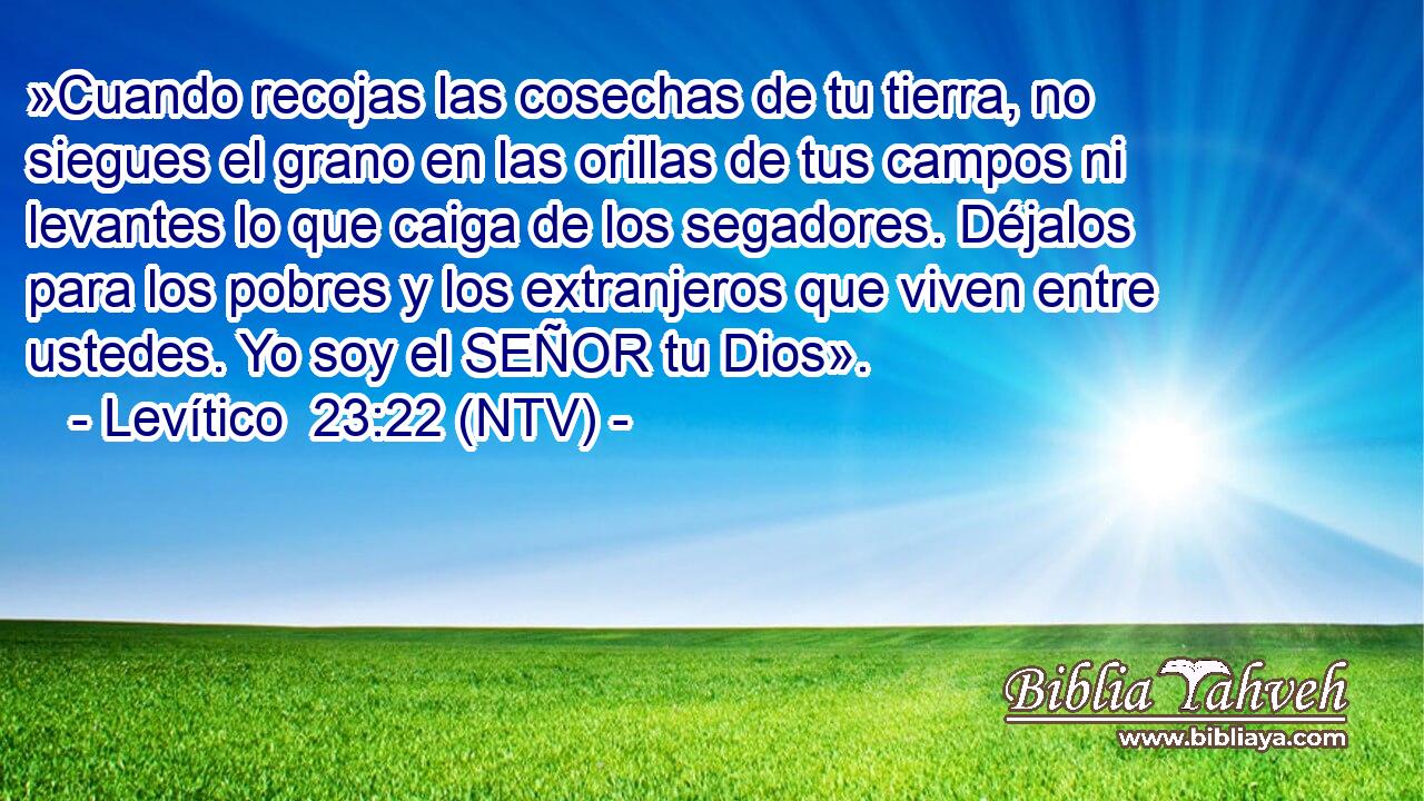 »Cuando recojas las cosechas de tu tierra, no siegues el grano en las orillas de tus campos ni levantes lo que caiga de los segadores. Déjalos para los pobres y los extranjeros que viven entre ustedes. Yo soy el SEÑOR tu Dios».