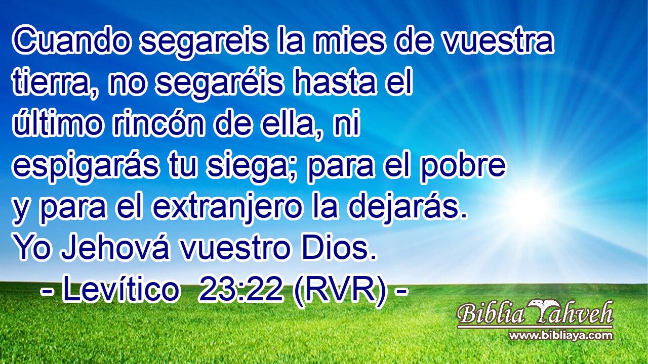 Cuando segareis la mies de vuestra tierra, no segaréis hasta el último rincón de ella, ni espigarás tu siega; para el pobre y para el extranjero la dejarás. Yo Jehová vuestro Dios.