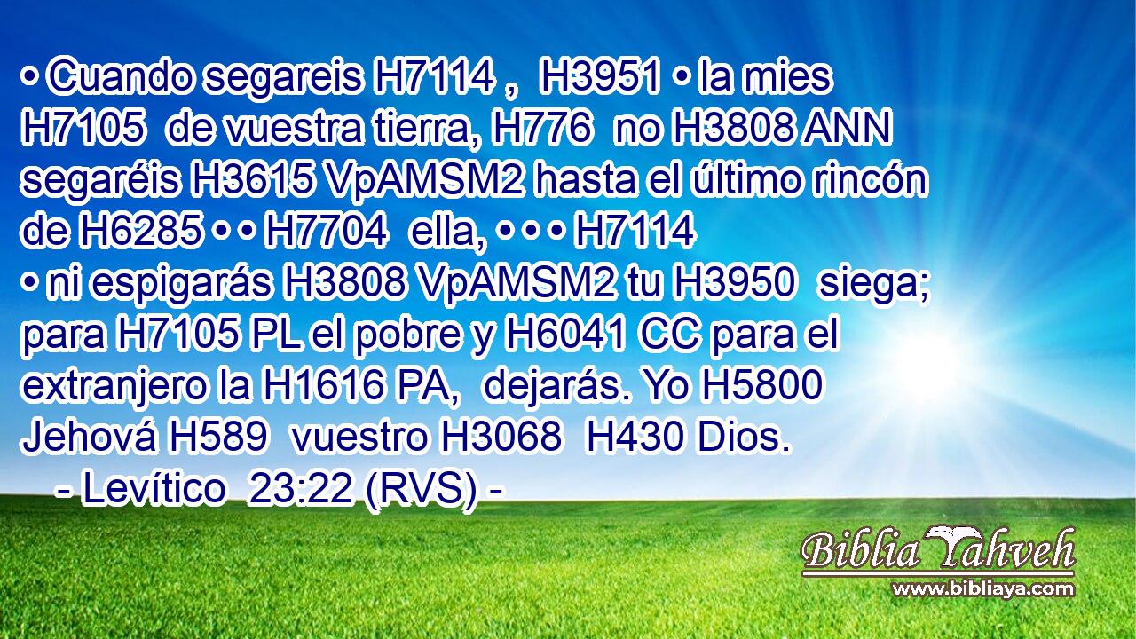 • Cuando segareis H7114 ,  H3951 • la mies H7105  de vuestra tierra, H776  no H3808 ANN segaréis H3615 VpAMSM2 hasta el último rincón de H6285 • • H7704  ella, • • • H7114  • ni espigarás H3808 VpAMSM2 tu H3950  siega; para H7105 PL el pobre y H6041 CC para el extranjero la H1616 PA,  dejarás. Yo H5800  Jehová H589  vuestro H3068  H430 Dios. 