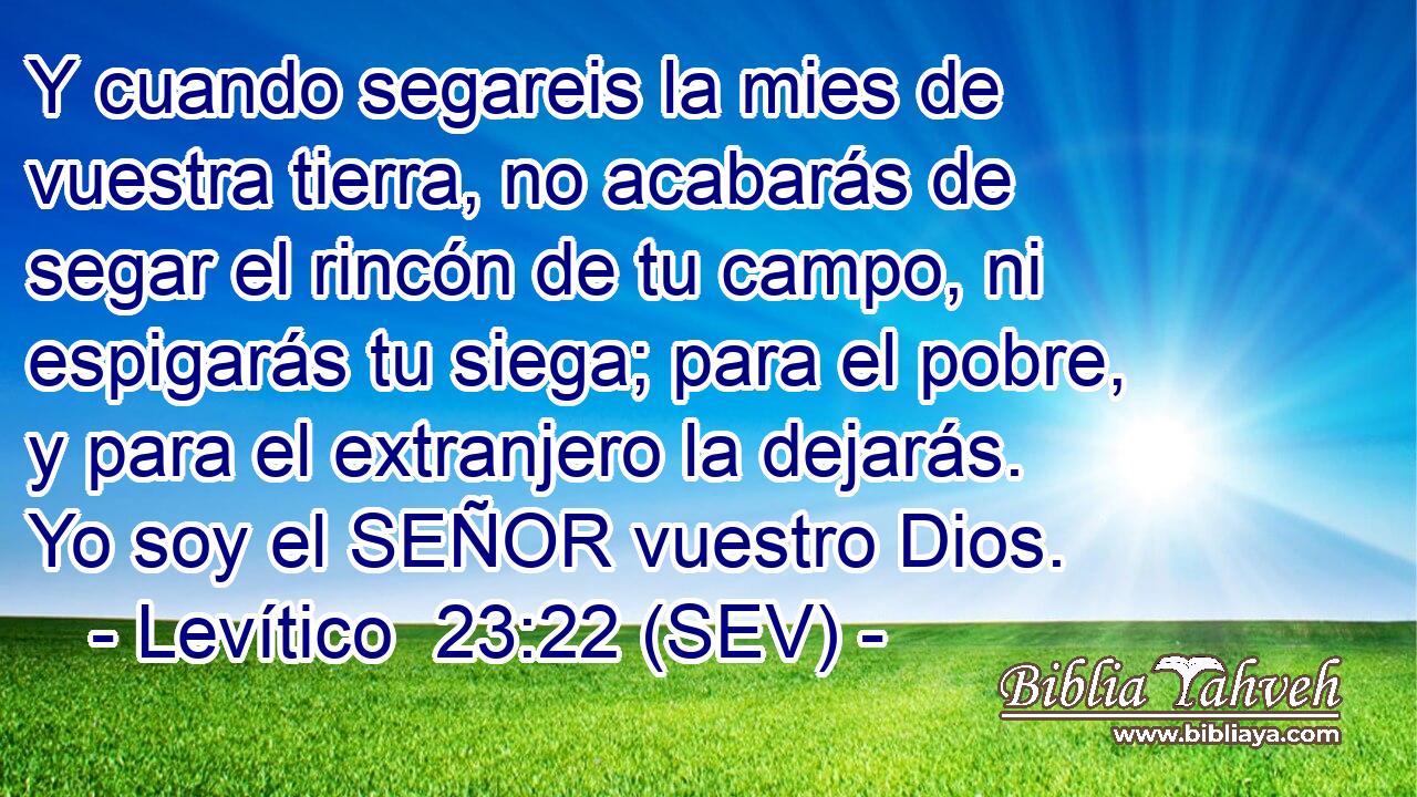 Y cuando segareis la mies de vuestra tierra, no acabarás de segar el rincón de tu campo, ni espigarás tu siega; para el pobre, y para el extranjero la dejarás. Yo soy el SEÑOR vuestro Dios.