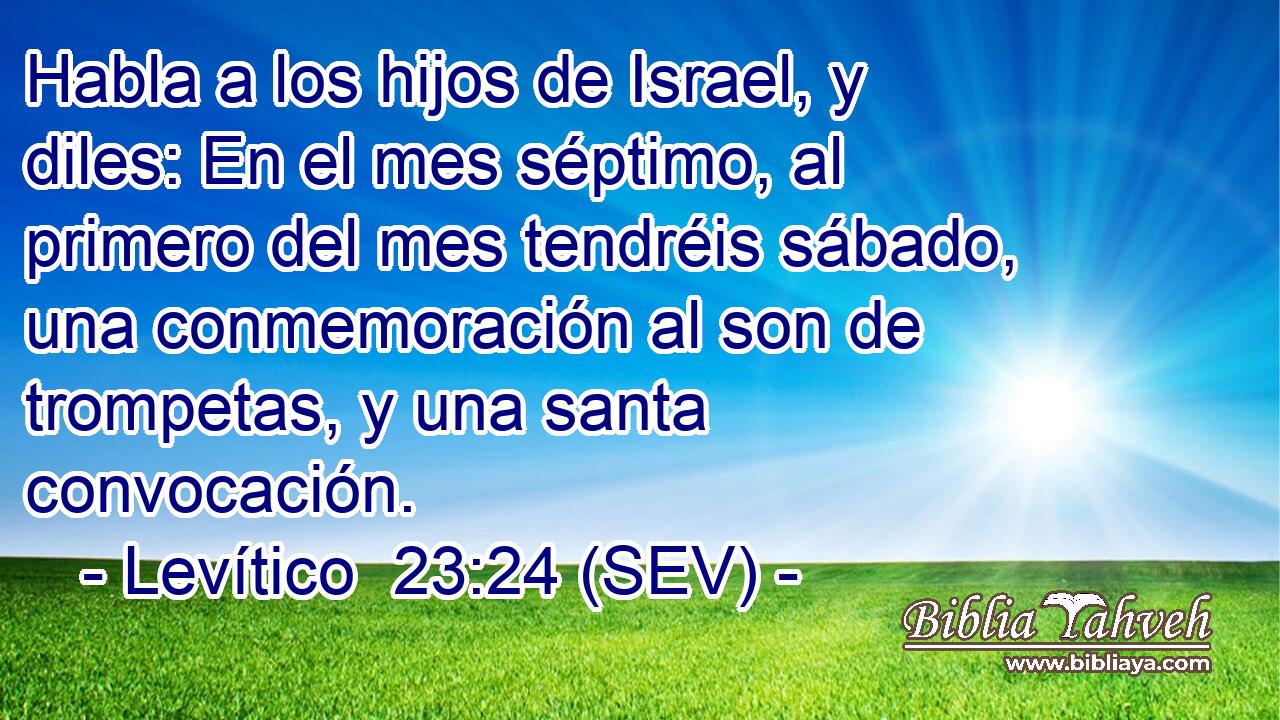 Habla a los hijos de Israel, y diles: En el mes séptimo, al primero del mes tendréis sábado, una conmemoración al son de trompetas, y una santa convocación.