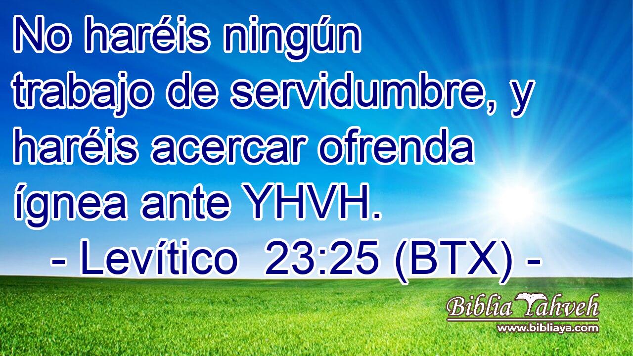 No haréis ningún trabajo de servidumbre, y haréis acercar ofrenda ígnea ante YHVH.