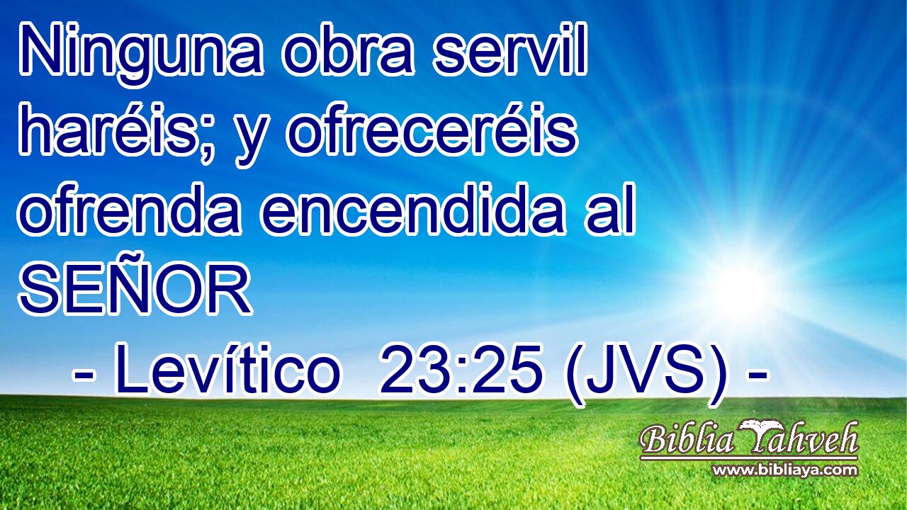Ninguna obra servil haréis; y ofreceréis ofrenda encendida al SEÑOR