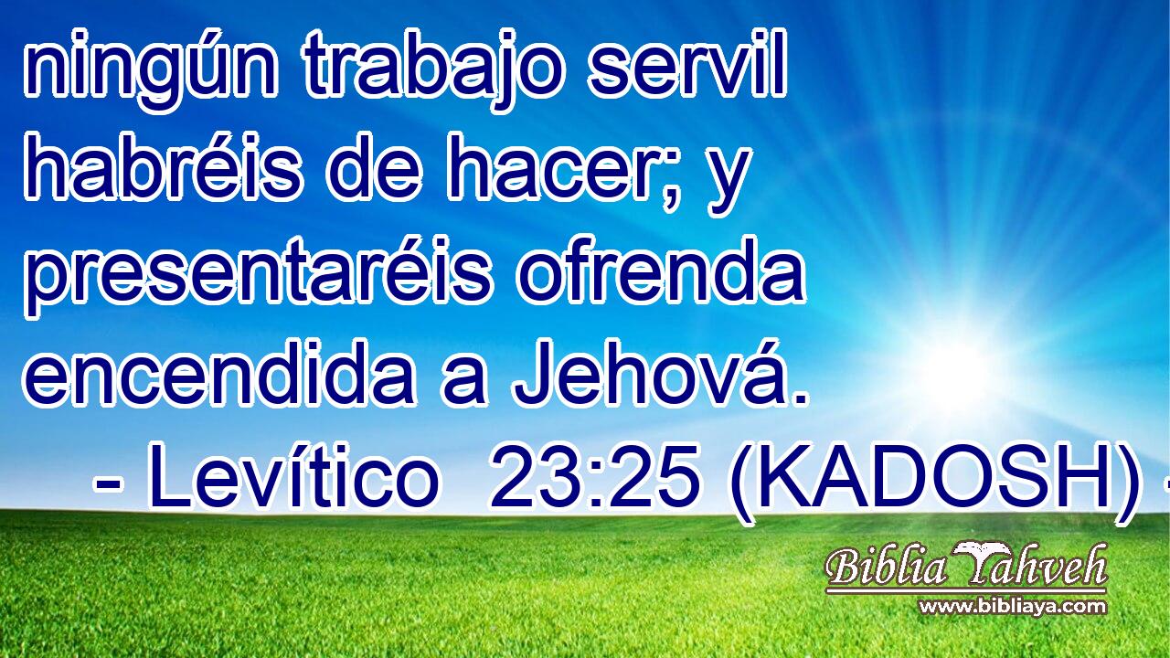  ningún trabajo servil habréis de hacer; y presentaréis ofrenda encendida a Jehová. 
