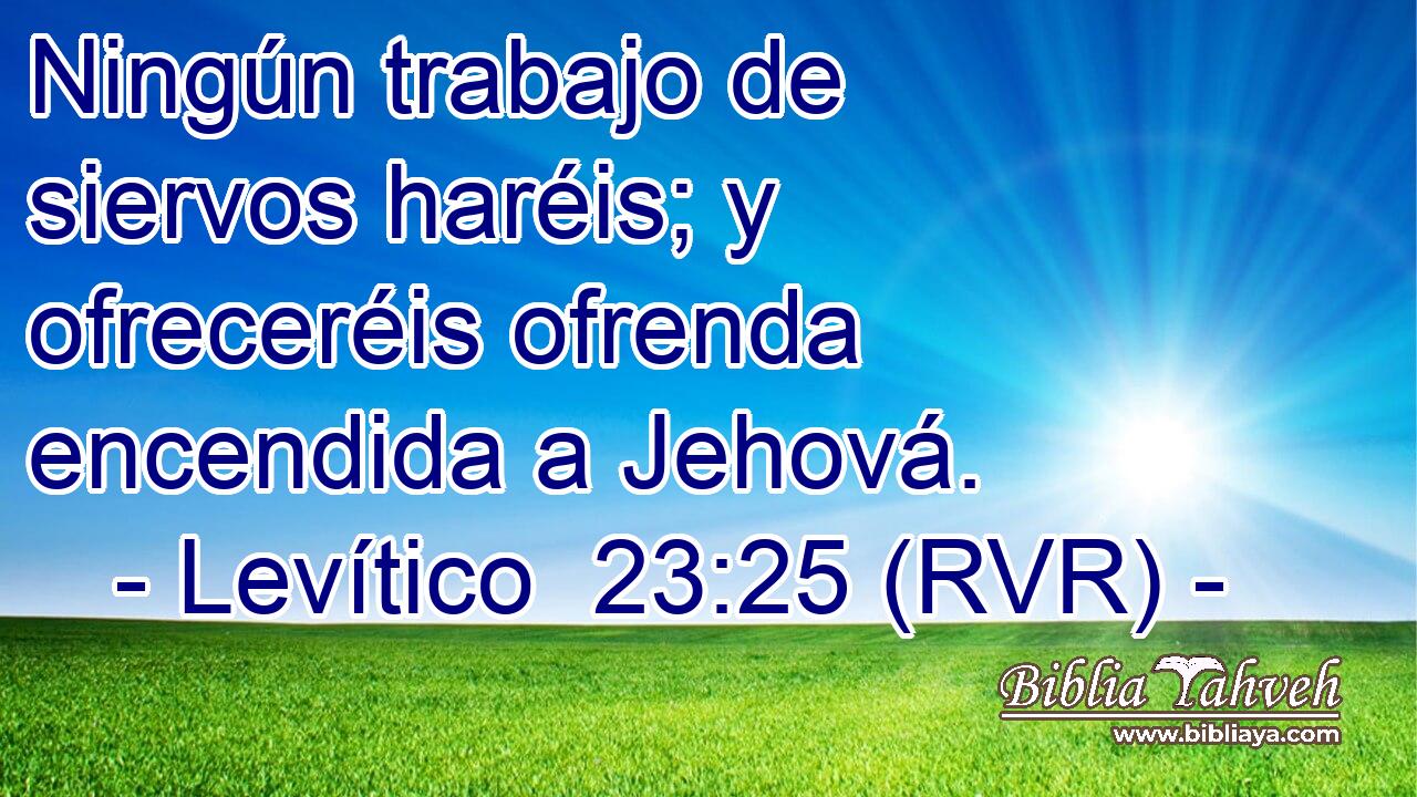 Ningún trabajo de siervos haréis; y ofreceréis ofrenda encendida a Jehová.