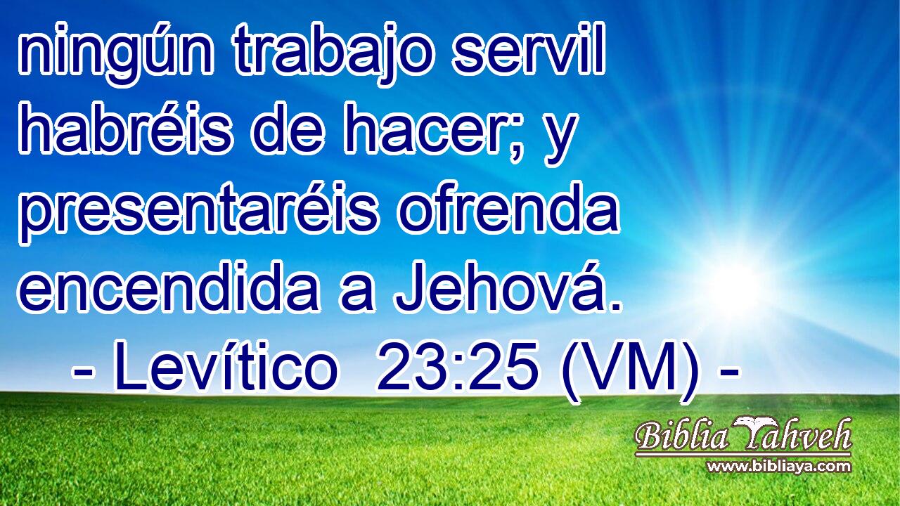  ningún trabajo servil habréis de hacer; y presentaréis ofrenda encendida a Jehová. 