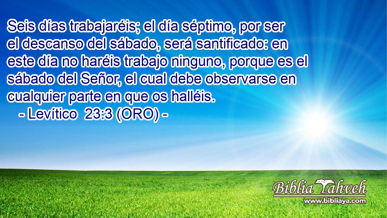  Seis días trabajaréis; el día séptimo, por ser el descanso del sábado, será santificado: en este día no haréis trabajo ninguno, porque es el sábado del Señor, el cual debe observarse en cualquier parte en que os halléis. 