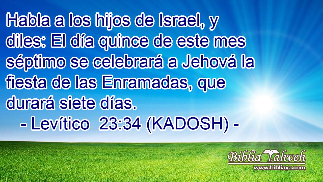  Habla a los hijos de Israel, y diles: El día quince de este mes séptimo se celebrará a Jehová la fiesta de las Enramadas, que durará siete días. 