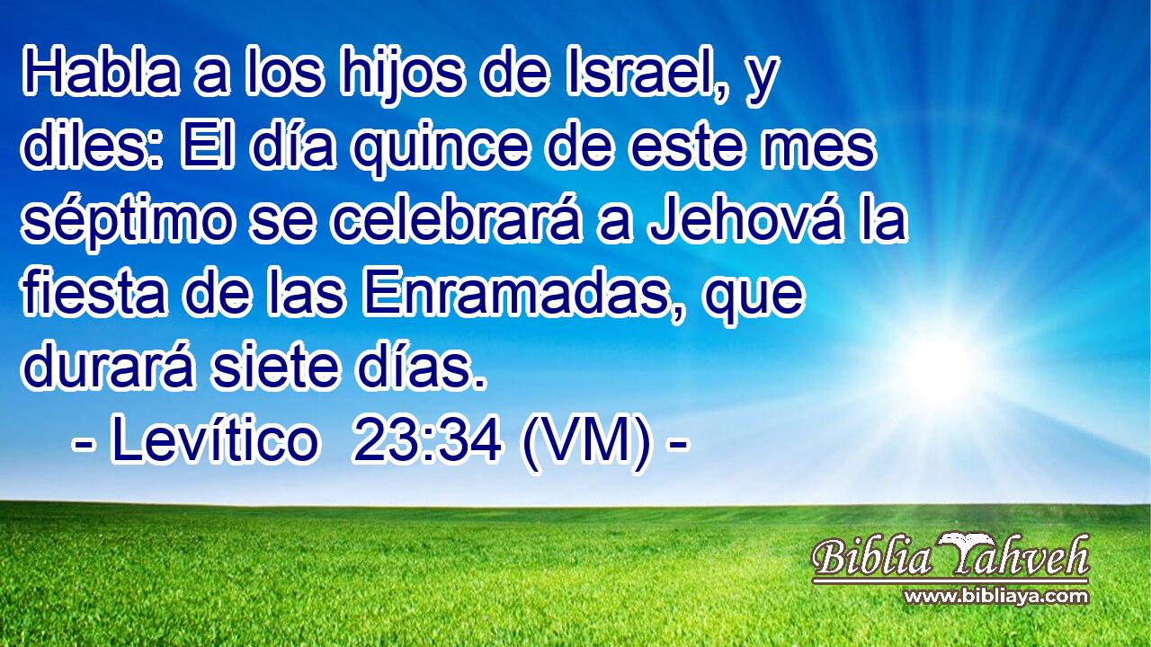  Habla a los hijos de Israel, y diles: El día quince de este mes séptimo se celebrará a Jehová la fiesta de las Enramadas, que durará siete días. 