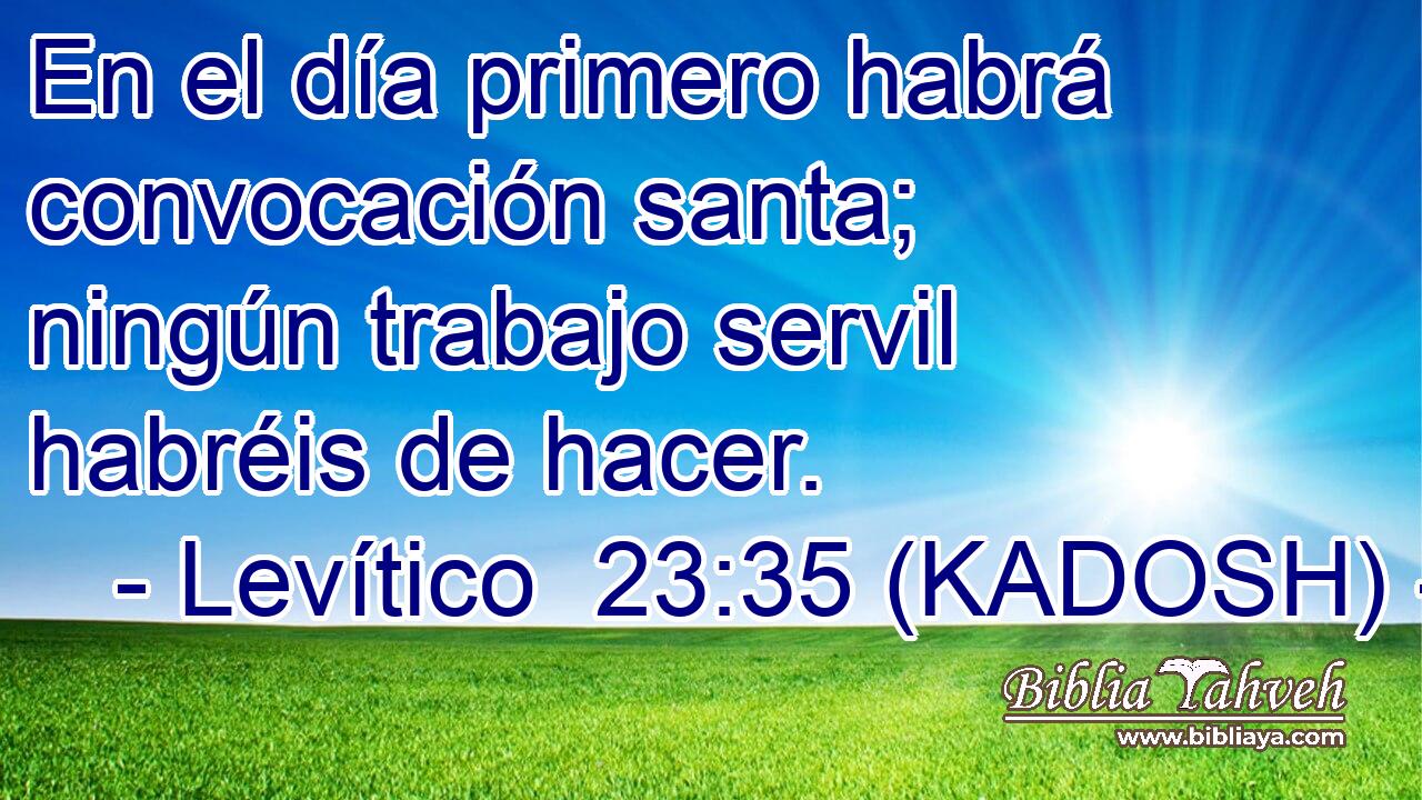  En el día primero habrá convocación santa; ningún trabajo servil habréis de hacer. 