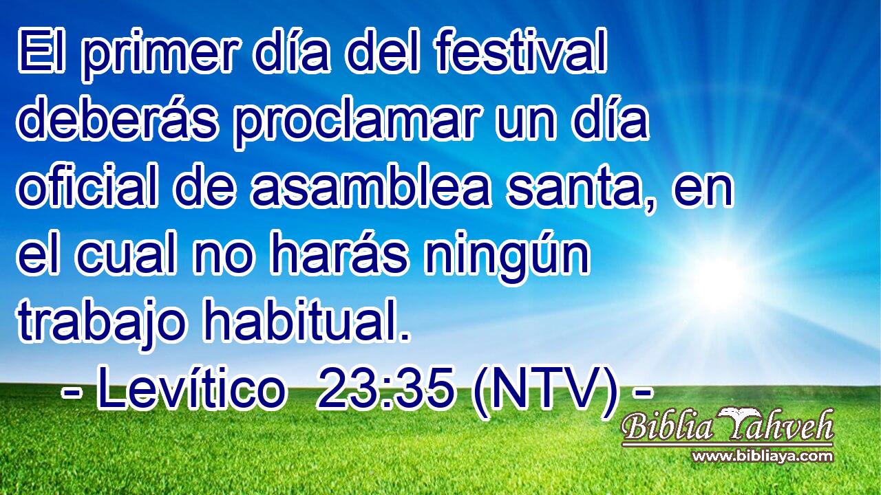 El primer día del festival deberás proclamar un día oficial de asamblea santa, en el cual no harás ningún trabajo habitual.