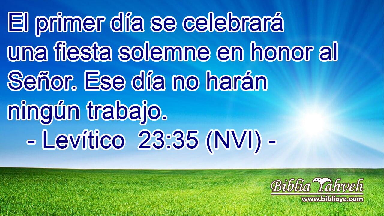  El primer día se celebrará una fiesta solemne en honor al Señor. Ese día no harán ningún trabajo. 