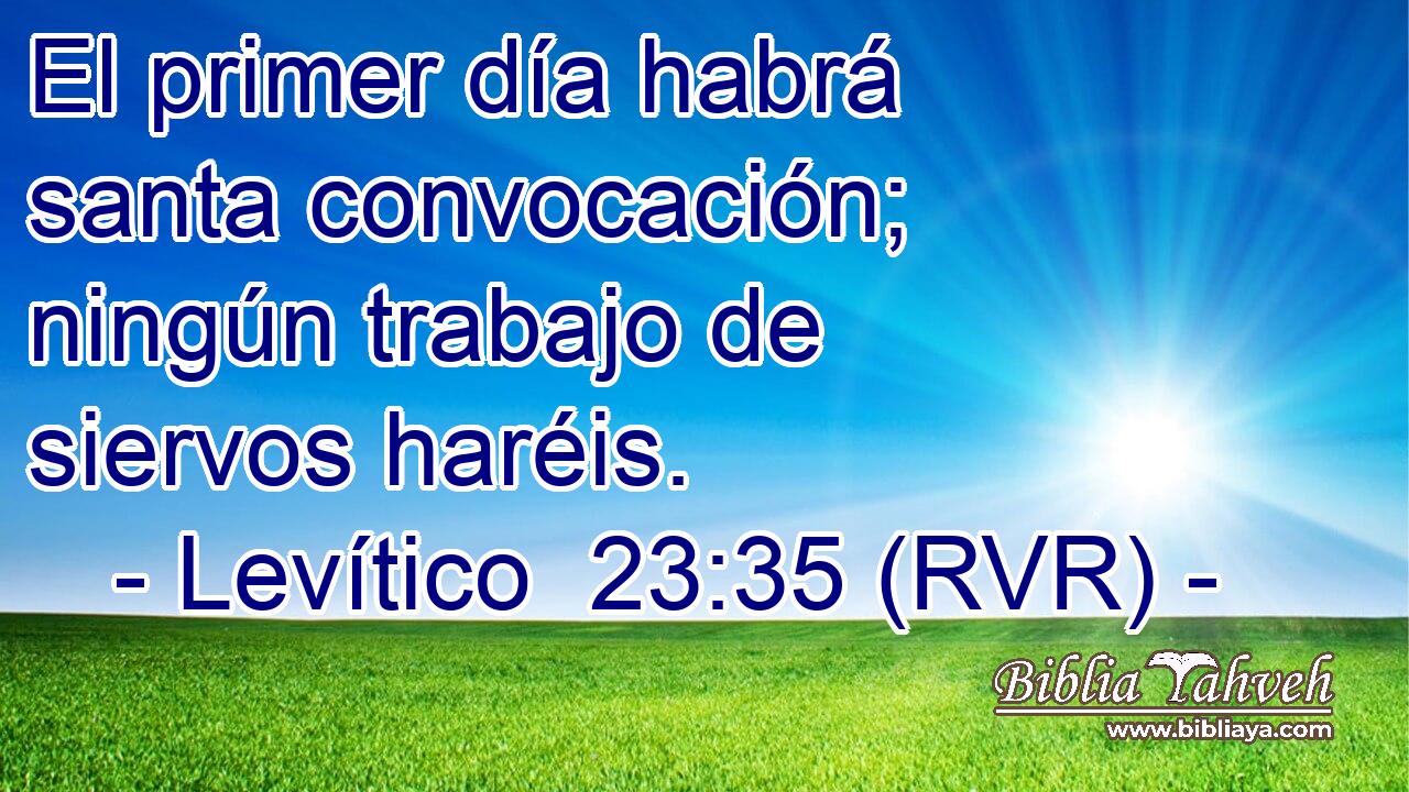El primer día habrá santa convocación; ningún trabajo de siervos haréis.