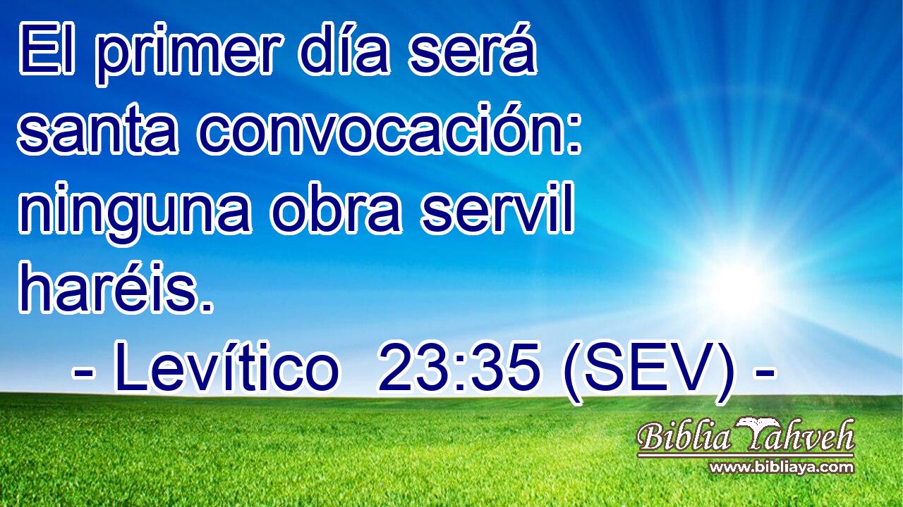 El primer día será santa convocación: ninguna obra servil haréis.