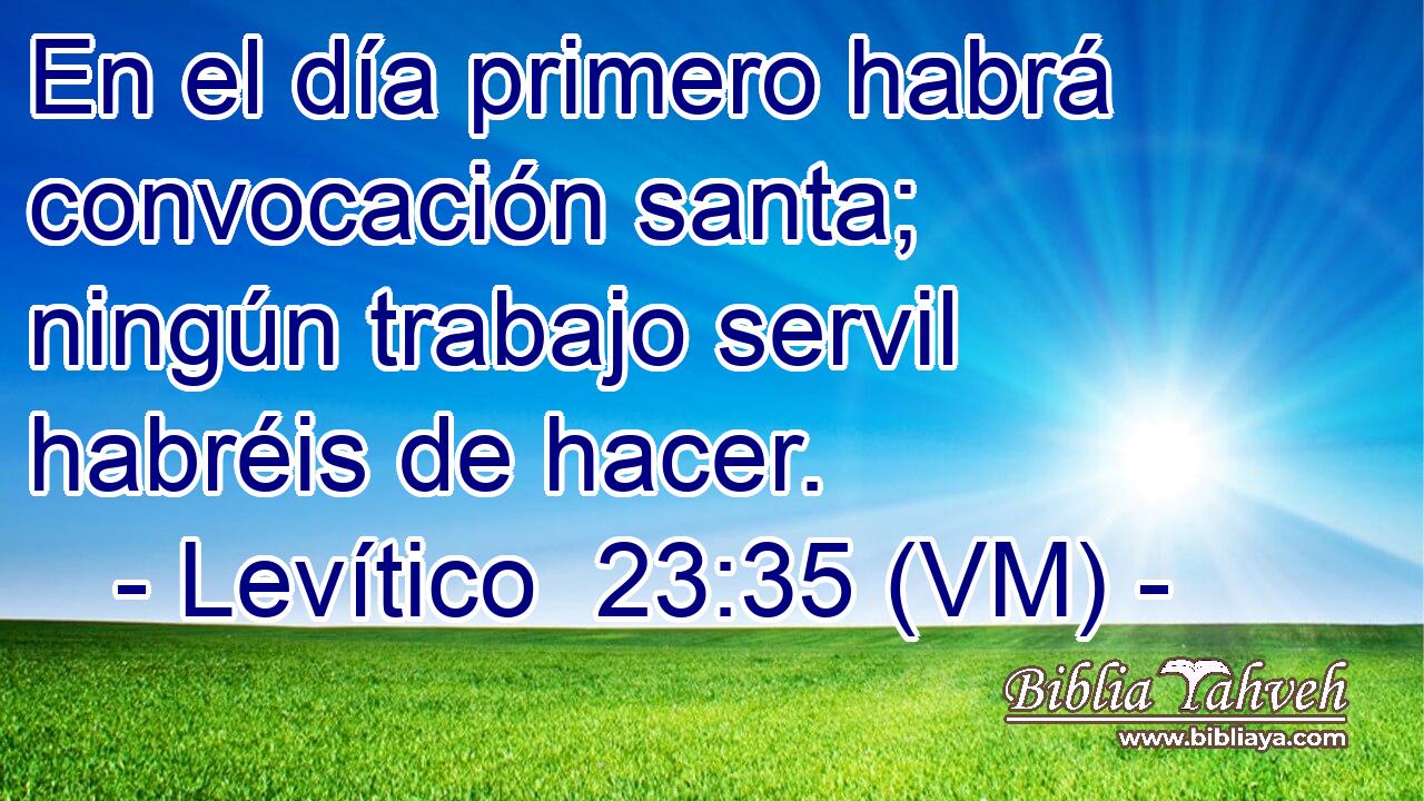  En el día primero habrá convocación santa; ningún trabajo servil habréis de hacer. 