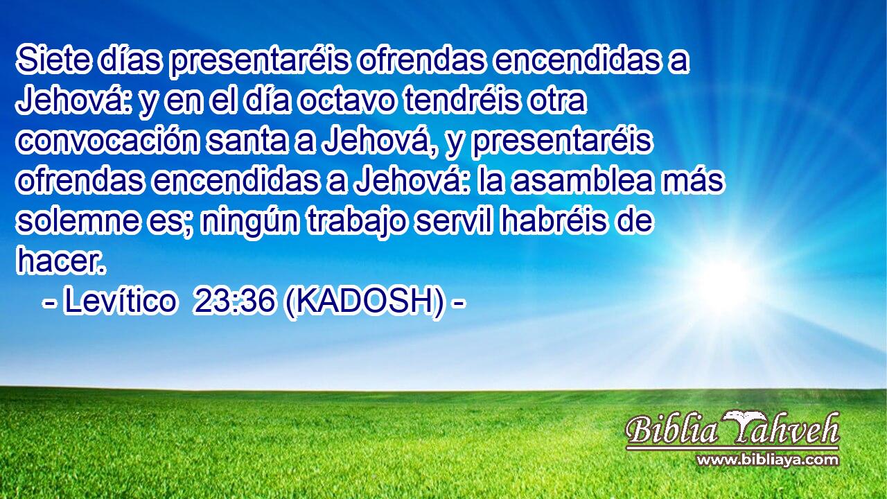  Siete días presentaréis ofrendas encendidas a Jehová: y en el día octavo tendréis otra convocación santa a Jehová, y presentaréis ofrendas encendidas a Jehová: la asamblea más solemne es; ningún trabajo servil habréis de hacer. 