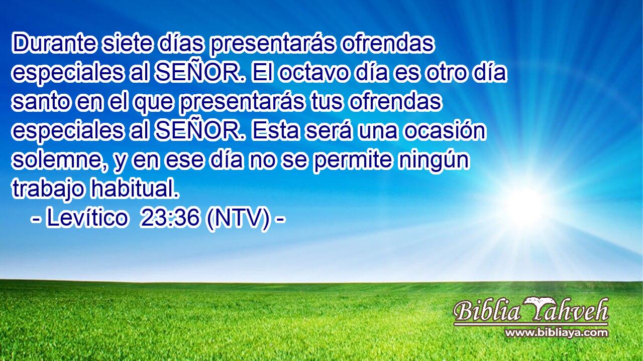 Durante siete días presentarás ofrendas especiales al SEÑOR. El octavo día es otro día santo en el que presentarás tus ofrendas especiales al SEÑOR. Esta será una ocasión solemne, y en ese día no se permite ningún trabajo habitual.