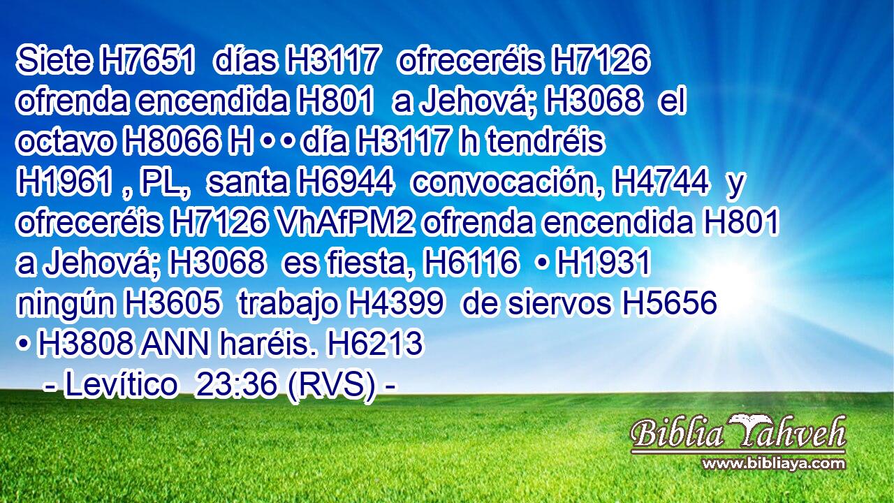 Siete H7651  días H3117  ofreceréis H7126  ofrenda encendida H801  a Jehová; H3068  el octavo H8066 H • • día H3117 h tendréis H1961 , PL,  santa H6944  convocación, H4744  y ofreceréis H7126 VhAfPM2 ofrenda encendida H801  a Jehová; H3068  es fiesta, H6116  • H1931  ningún H3605  trabajo H4399  de siervos H5656  • H3808 ANN haréis. H6213  