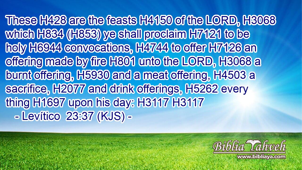 These H428 are the feasts H4150 of the LORD, H3068 which H834 (H853) ye shall proclaim H7121 to be holy H6944 convocations, H4744 to offer H7126 an offering made by fire H801 unto the LORD, H3068 a burnt offering, H5930 and a meat offering, H4503 a sacrifice, H2077 and drink offerings, H5262 every thing H1697 upon his day: H3117 H3117