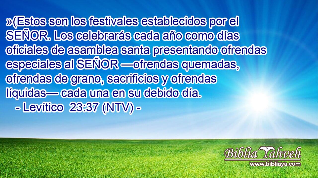 »(Estos son los festivales establecidos por el SEÑOR. Los celebrarás cada año como días oficiales de asamblea santa presentando ofrendas especiales al SEÑOR —ofrendas quemadas, ofrendas de grano, sacrificios y ofrendas líquidas— cada una en su debido día.
