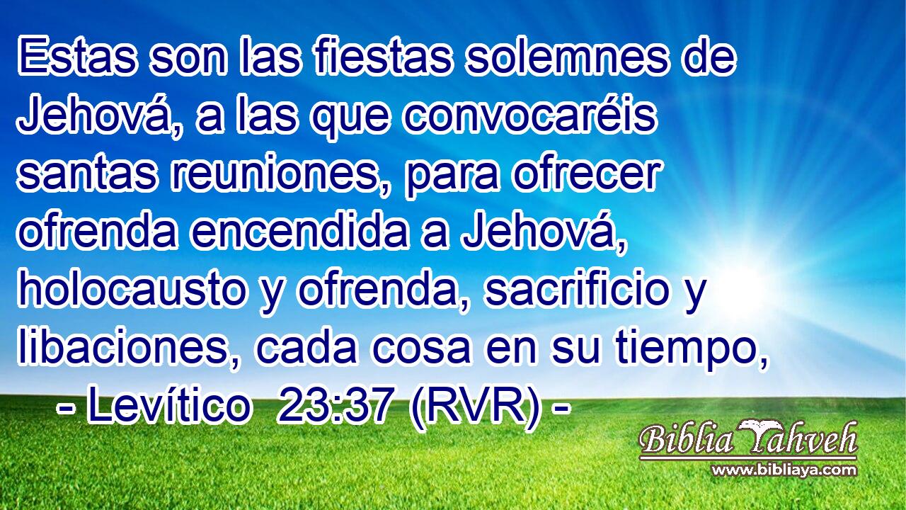 Estas son las fiestas solemnes de Jehová, a las que convocaréis santas reuniones, para ofrecer ofrenda encendida a Jehová, holocausto y ofrenda, sacrificio y libaciones, cada cosa en su tiempo,