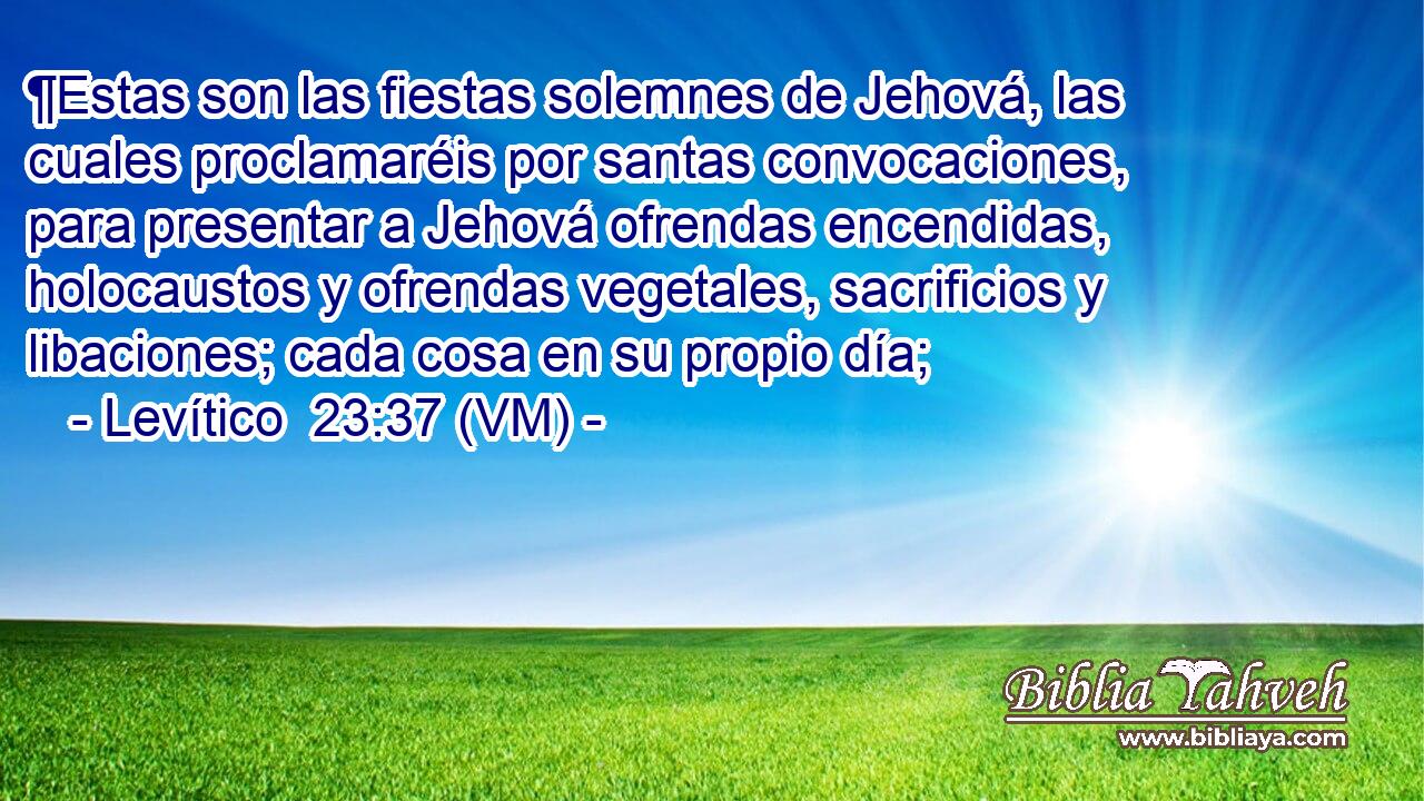  ¶Estas son las fiestas solemnes de Jehová, las cuales proclamaréis por santas convocaciones, para presentar a Jehová ofrendas encendidas, holocaustos y ofrendas vegetales, sacrificios y libaciones; cada cosa en su propio día; 