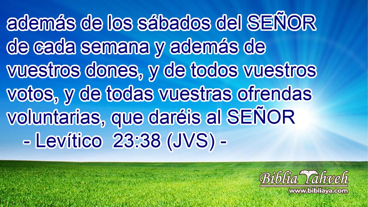 además de los sábados del SEÑOR de cada semana y además de vuestros dones, y de todos vuestros votos, y de todas vuestras ofrendas voluntarias, que daréis al SEÑOR