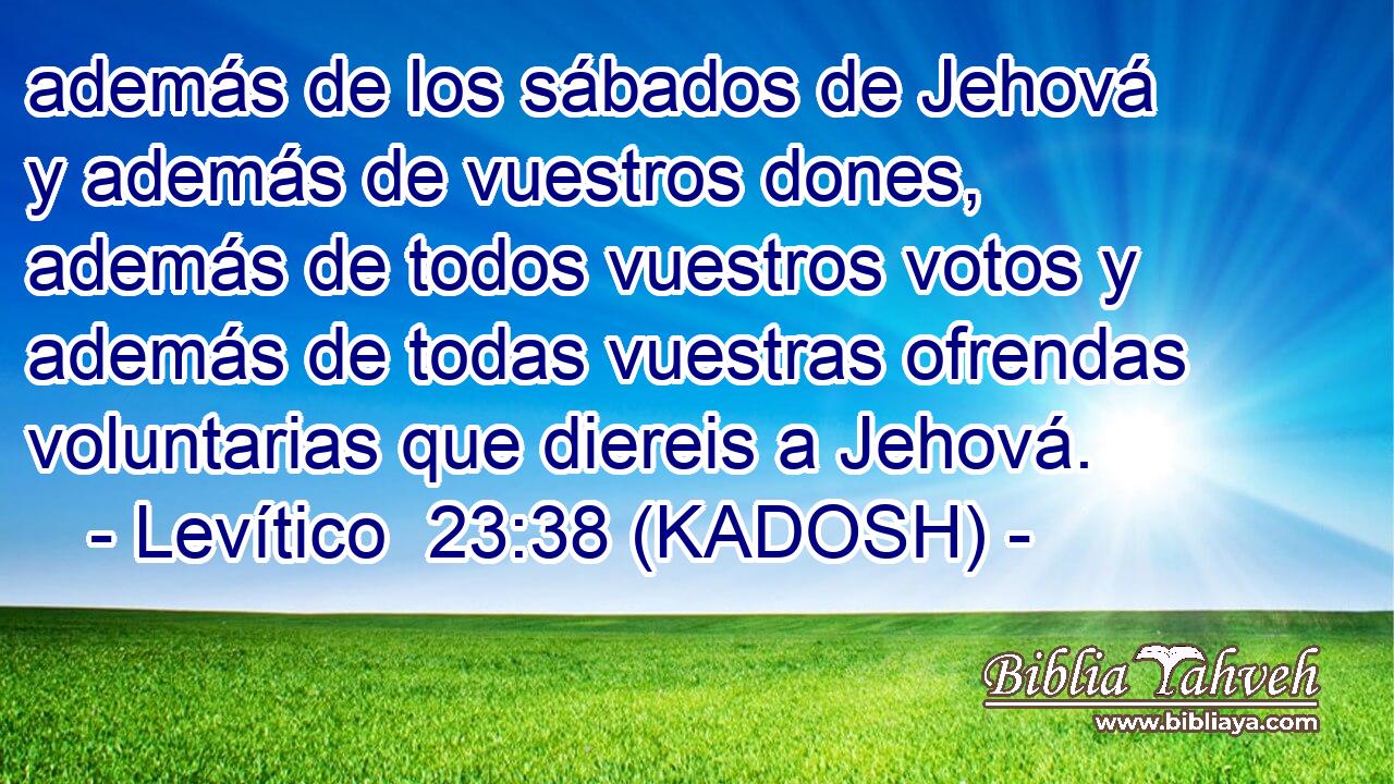  además de los sábados de Jehová y además de vuestros dones, además de todos vuestros votos y además de todas vuestras ofrendas voluntarias que diereis a Jehová. 