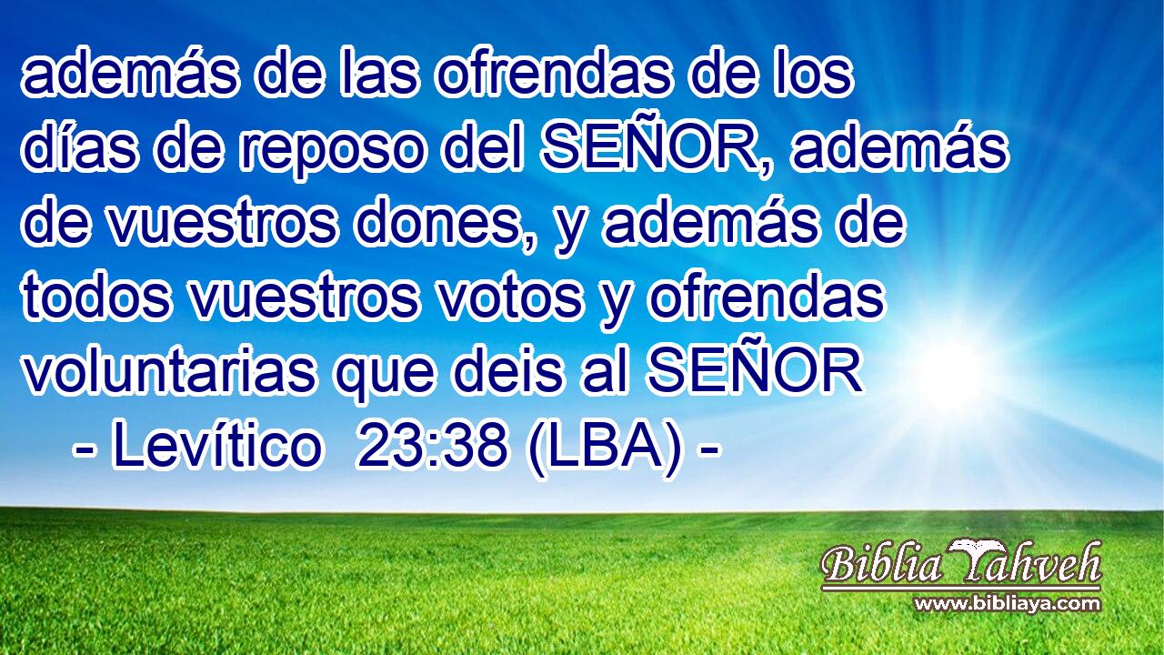además de las ofrendas de los días de reposo del SEÑOR, además de vuestros dones, y además de todos vuestros votos y ofrendas voluntarias que deis al SEÑOR