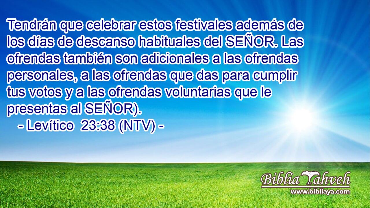Tendrán que celebrar estos festivales además de los días de descanso habituales del SEÑOR. Las ofrendas también son adicionales a las ofrendas personales, a las ofrendas que das para cumplir tus votos y a las ofrendas voluntarias que le presentas al SEÑOR).