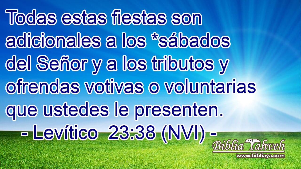  Todas estas fiestas son adicionales a los *sábados del Señor y a los tributos y ofrendas votivas o voluntarias que ustedes le presenten. 