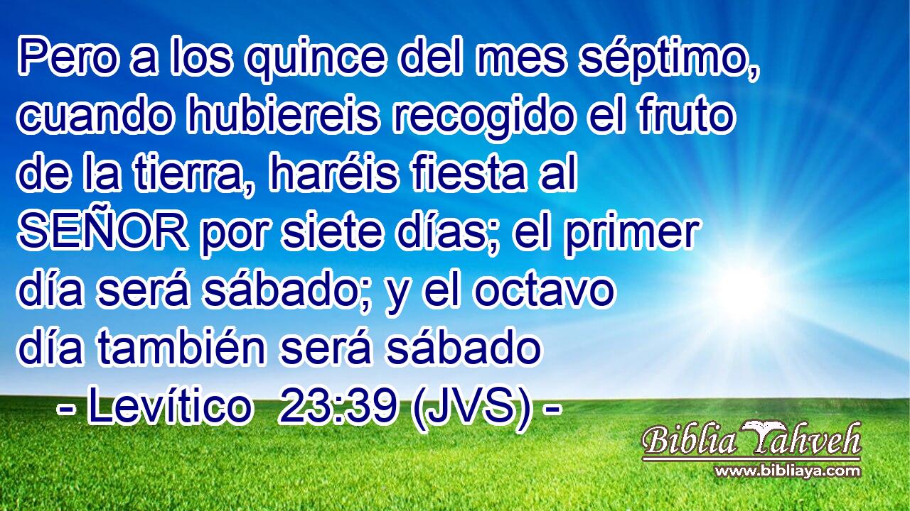 Pero a los quince del mes séptimo, cuando hubiereis recogido el fruto de la tierra, haréis fiesta al SEÑOR por siete días; el primer día será sábado; y el octavo día también será sábado