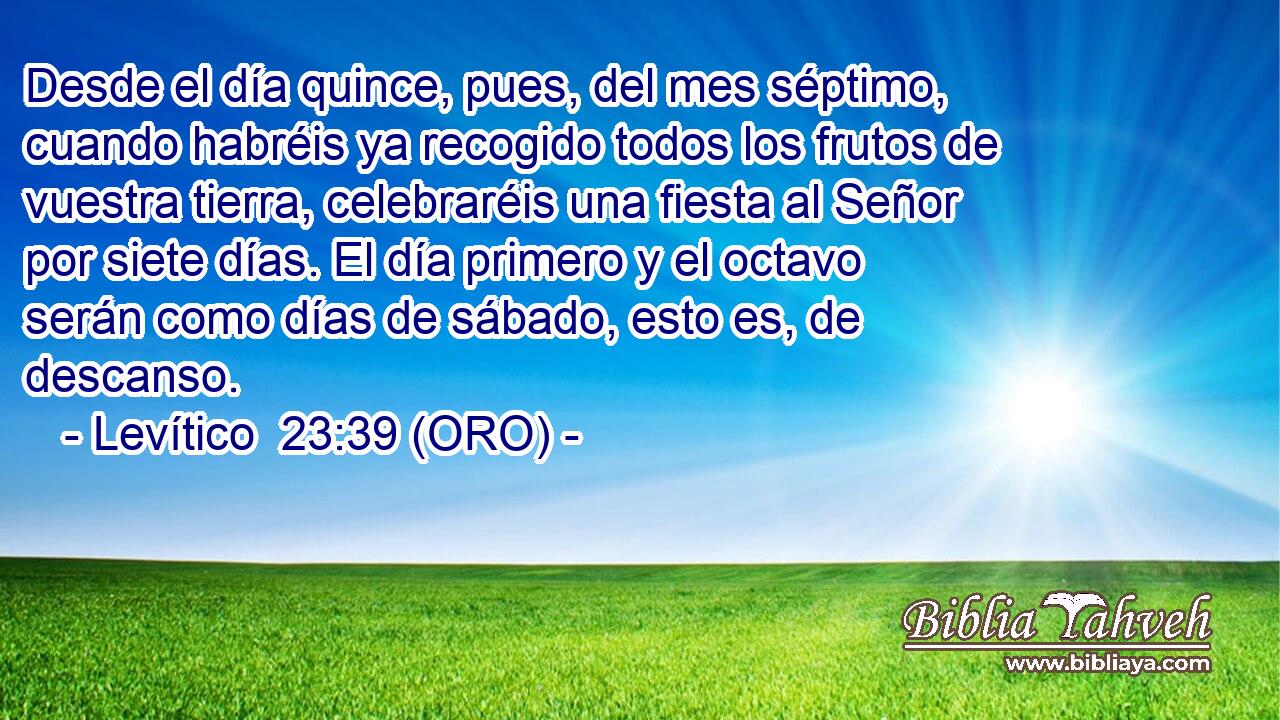  Desde el día quince, pues, del mes séptimo, cuando habréis ya recogido todos los frutos de vuestra tierra, celebraréis una fiesta al Señor por siete días. El día primero y el octavo serán como días de sábado, esto es, de descanso. 