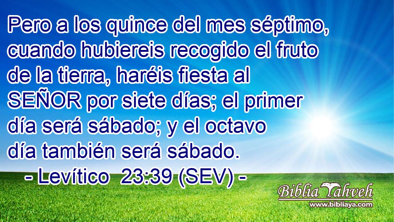 Pero a los quince del mes séptimo, cuando hubiereis recogido el fruto de la tierra, haréis fiesta al SEÑOR por siete días; el primer día será sábado; y el octavo día también será sábado.