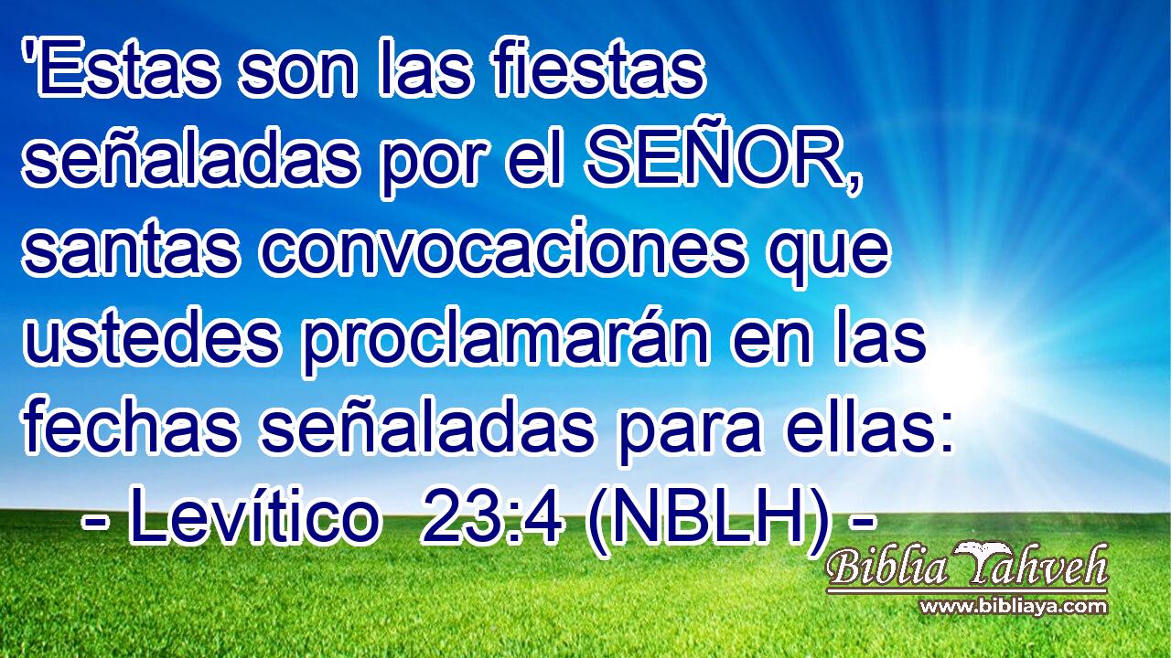  'Estas son las fiestas señaladas por el SEÑOR, santas convocaciones que ustedes proclamarán en las fechas señaladas para ellas: 