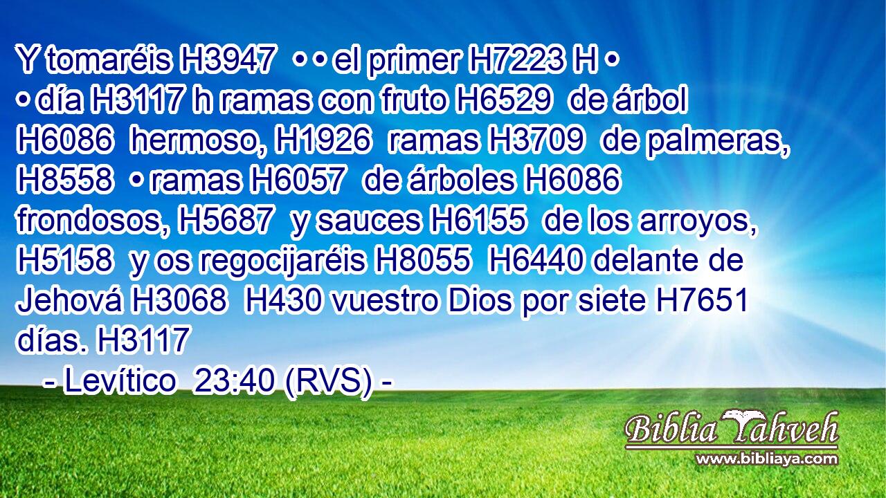 Y tomaréis H3947  • • el primer H7223 H • • día H3117 h ramas con fruto H6529  de árbol H6086  hermoso, H1926  ramas H3709  de palmeras, H8558  • ramas H6057  de árboles H6086  frondosos, H5687  y sauces H6155  de los arroyos, H5158  y os regocijaréis H8055  H6440 delante de Jehová H3068  H430 vuestro Dios por siete H7651  días. H3117  