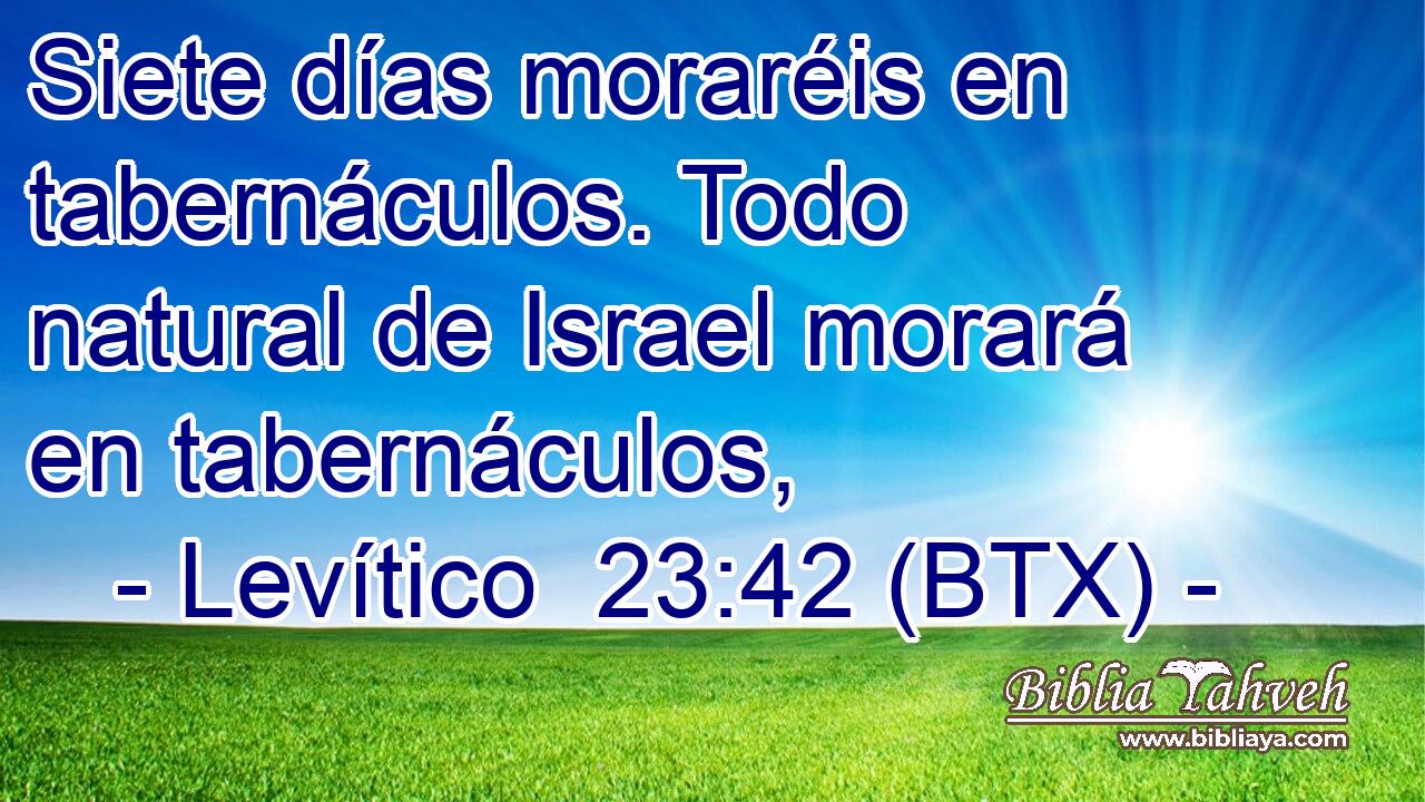 Siete días moraréis en tabernáculos. Todo natural de Israel morará en tabernáculos,