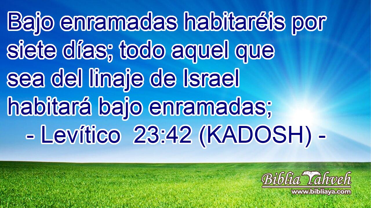  Bajo enramadas habitaréis por siete días; todo aquel que sea del linaje de Israel habitará bajo enramadas; 
