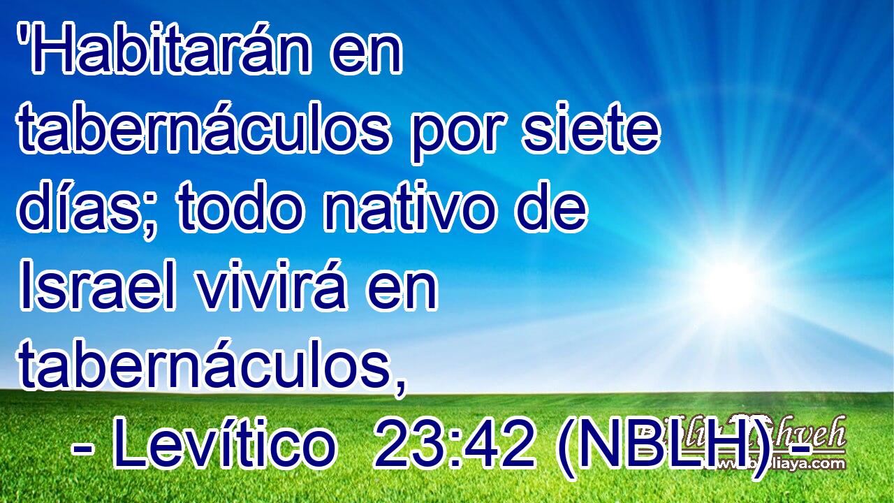  'Habitarán en tabernáculos por siete días; todo nativo de Israel vivirá en tabernáculos, 